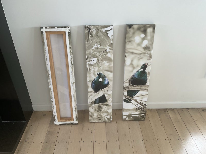 3 piece Tui’s On Canvas Carousel 2