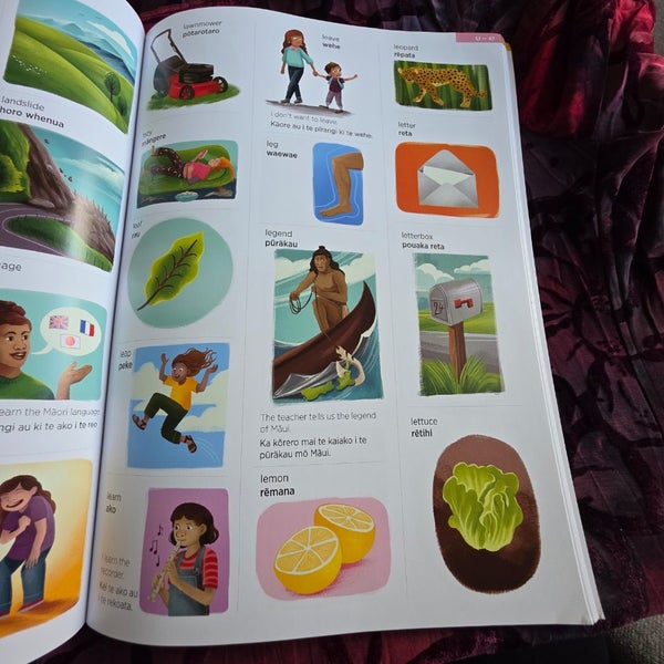 The Maori picture dictionary Carousel 7
