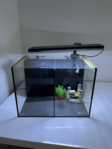 Betta Duo Fish Tank Aquarium Carousel 1