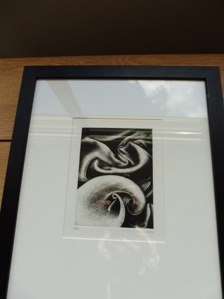 Framed etching / mezzontint by Vivian Ward, New Zealand Carousel 2