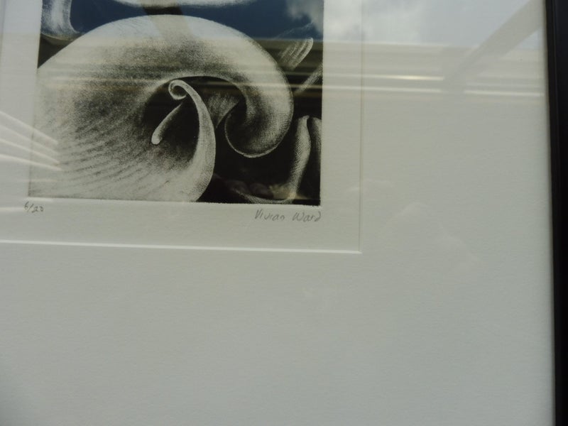 Framed etching / mezzontint by Vivian Ward, New Zealand Carousel 3