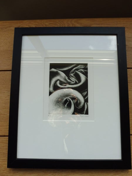 Framed etching / mezzontint by Vivian Ward, New Zealand Carousel 1