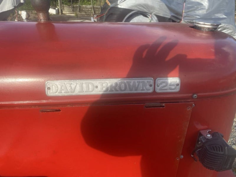 David brown tractor Carousel 2