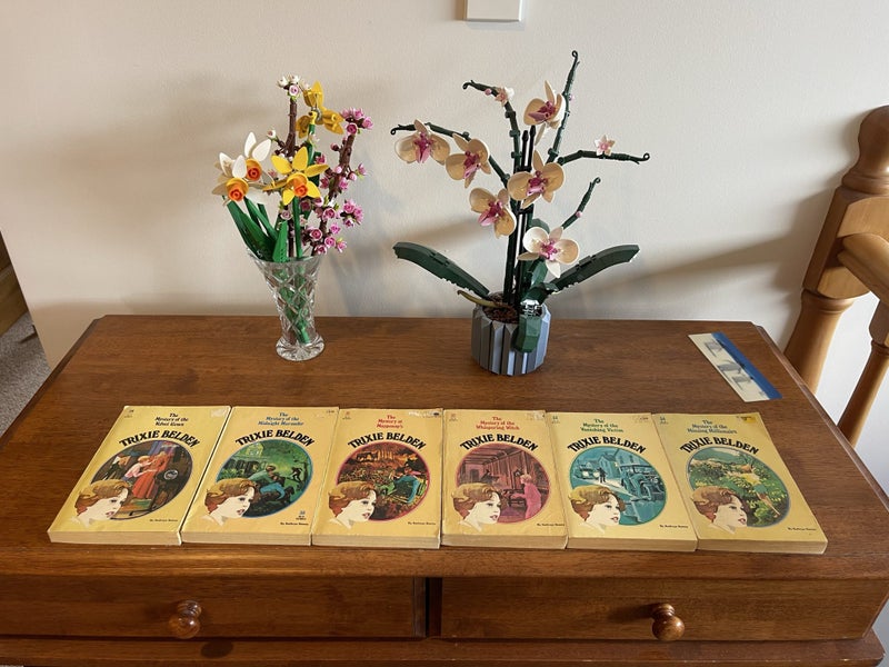 Trixie Belden Series x 34 books Carousel 2