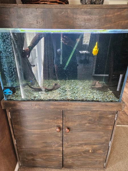 300L Tropical tank setup Carousel 1