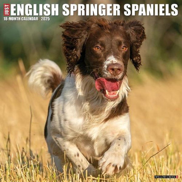 English Springer Spaniels 2026 Wall Calendar by Willow Creek Press - Carousel 1