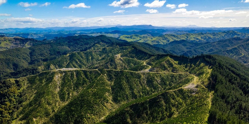 Waihora Forest: Gisborne Multi-option Investment64048800078465111