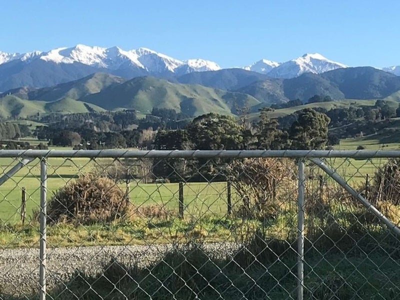 Image 1 of 31