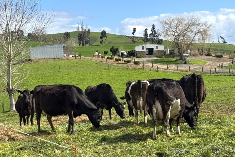 A great first farm with proven potential63962032513539110