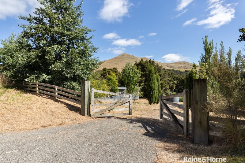 Image 1 of 19