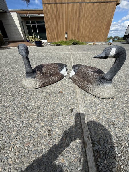 Canadian Geese Decoys Carousel 2