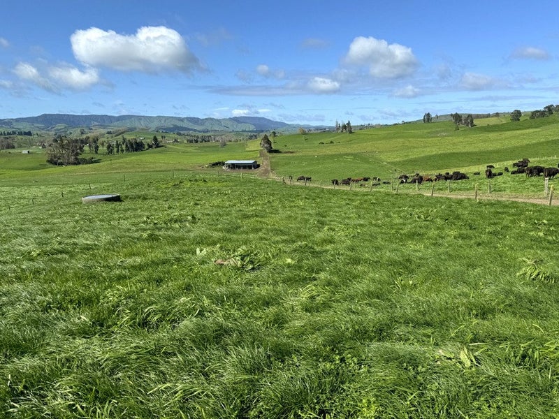 Great Farming Opportunity in the Heart of Maihiihi63963274521217111