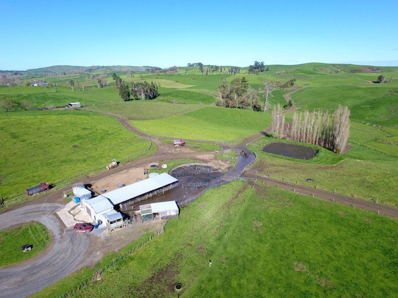 Great Farming Opportunity in the Heart of Maihiihi63963274521217113