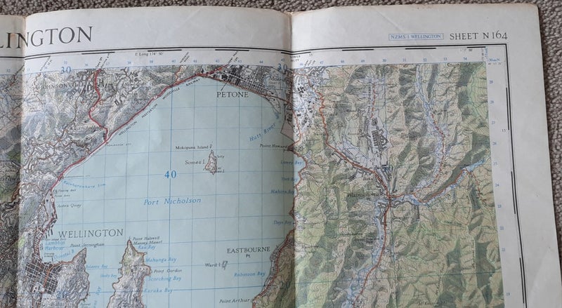 Vintage topographical map of Wellington Carousel 2