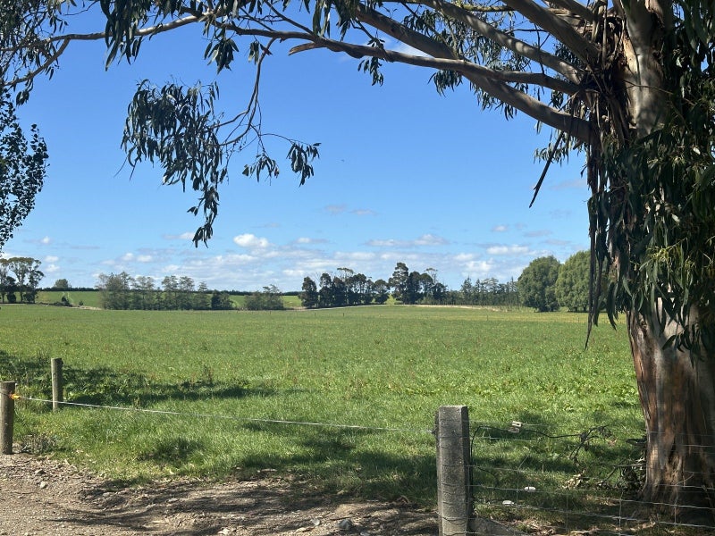 Image 3 of 28