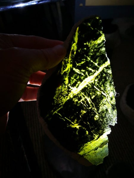 $1 reserve Pounamu greenstone translucent thin carving Slab Carousel 1