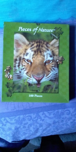 Jigsaws63966008962178110