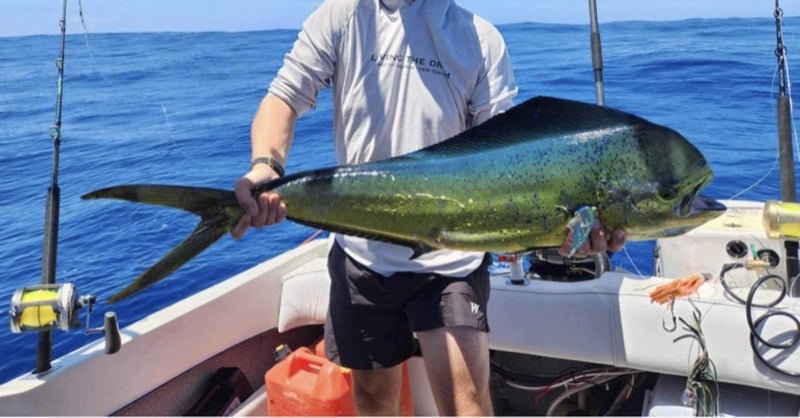 Bulk Game Fishing Skirts63988346274179113