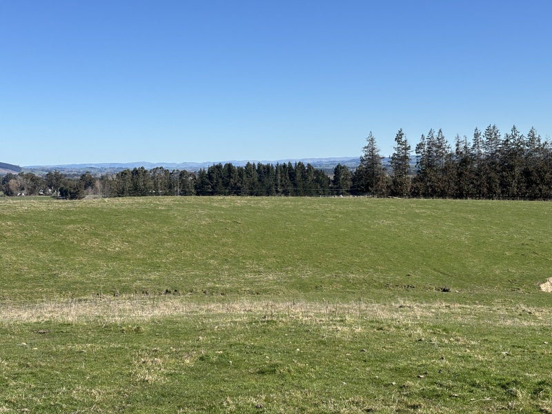 Potential Plus63972521182722112