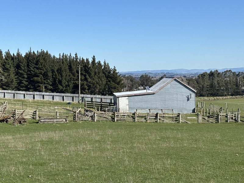 Potential Plus63972521182722114