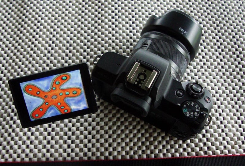 CANON Mirrorless Camera = Ideal For Student Or Travel64247975486338114