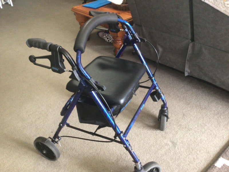 Mobility Walker Carousel 3