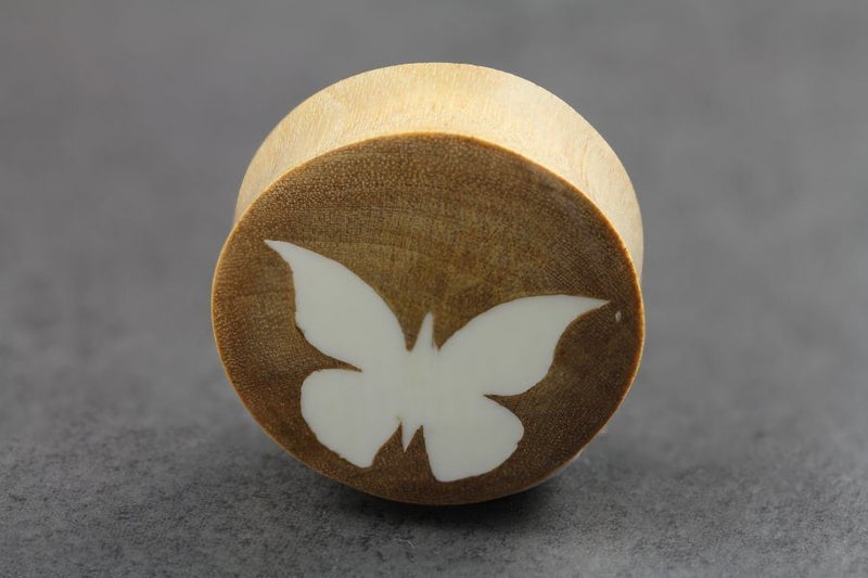 White Butterfly on Clove Wood **Sale** Carousel 1