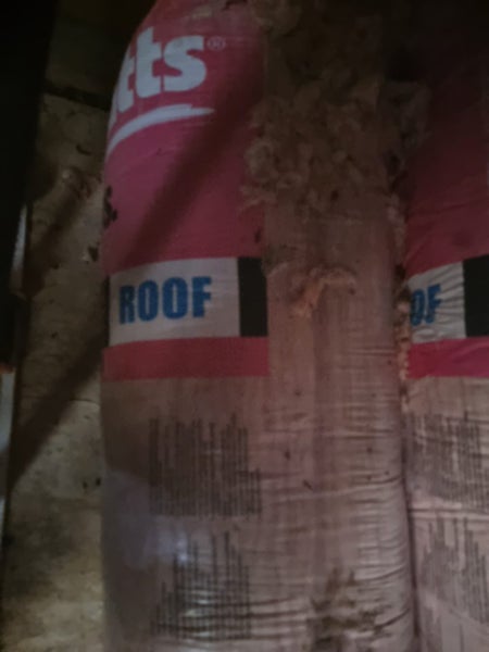 Pink betts Carousel 2