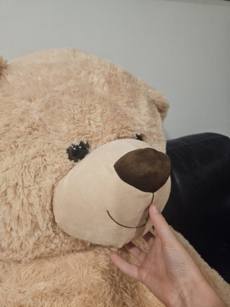 Giant Teddy Bear Carousel 4