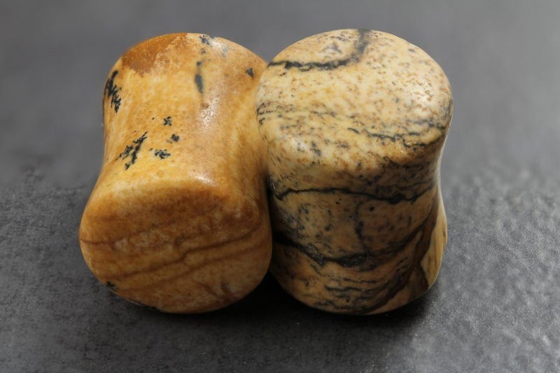 Picasso Jasper Stone Flared Plugs **Sale** Carousel 1