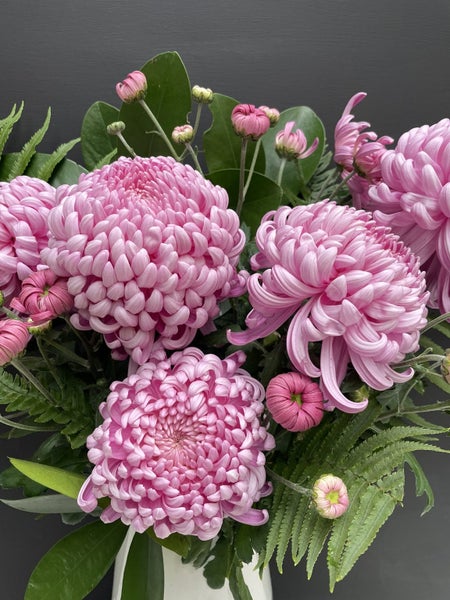 Chrysanthemum Luxor Carousel 2