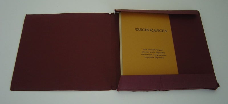 French Arts and Literature 2 Books Tears Dechirances and L’VII Carousel 20