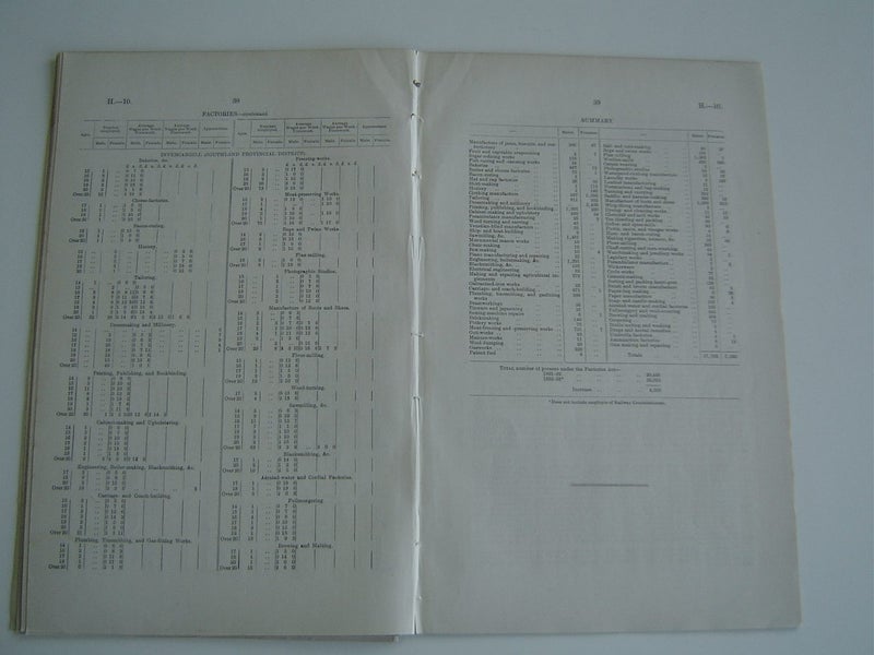Historical Document Department of Labour 1893 Carousel 4