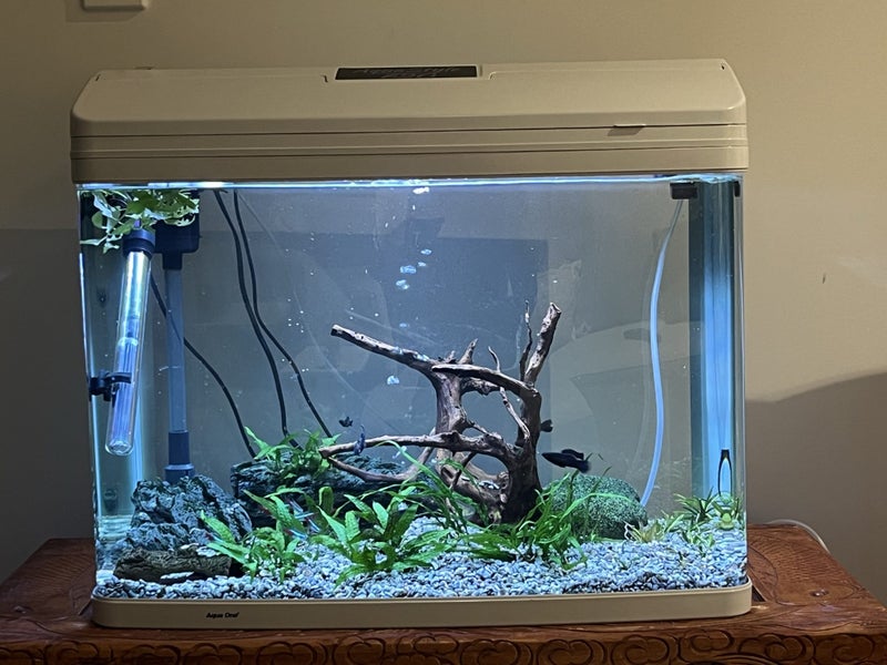 90L fish tank Carousel 2