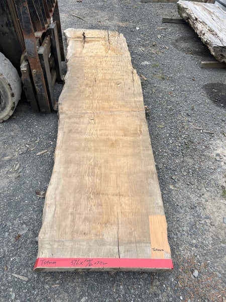 Totara Slab – 376 × 100/90/80 × 7.5 cm Carousel 1