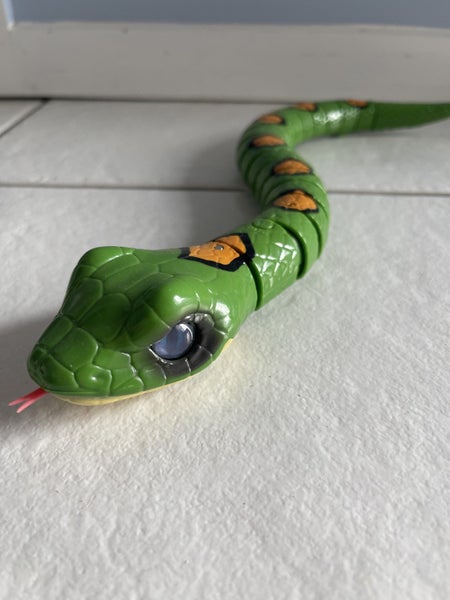 Pet snake Carousel 1