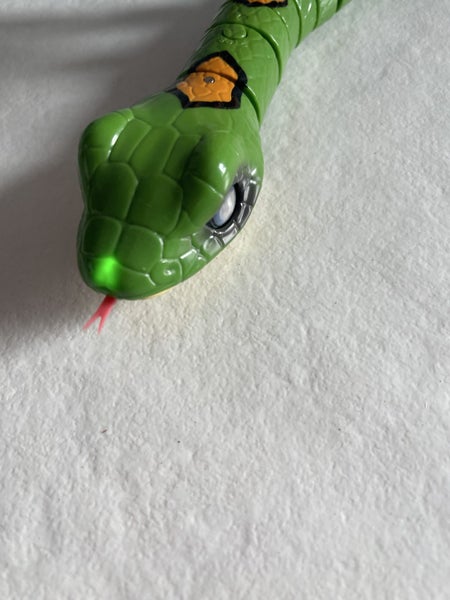 Pet snake Carousel 2