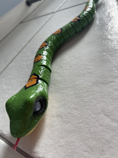 Pet snake Carousel 5