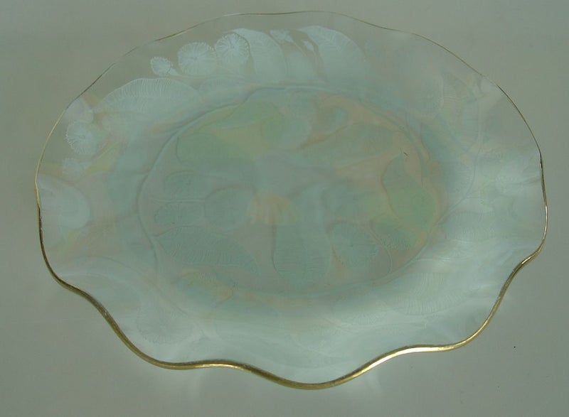 Two Superb Mid century Design Glass Plates Carousel 9