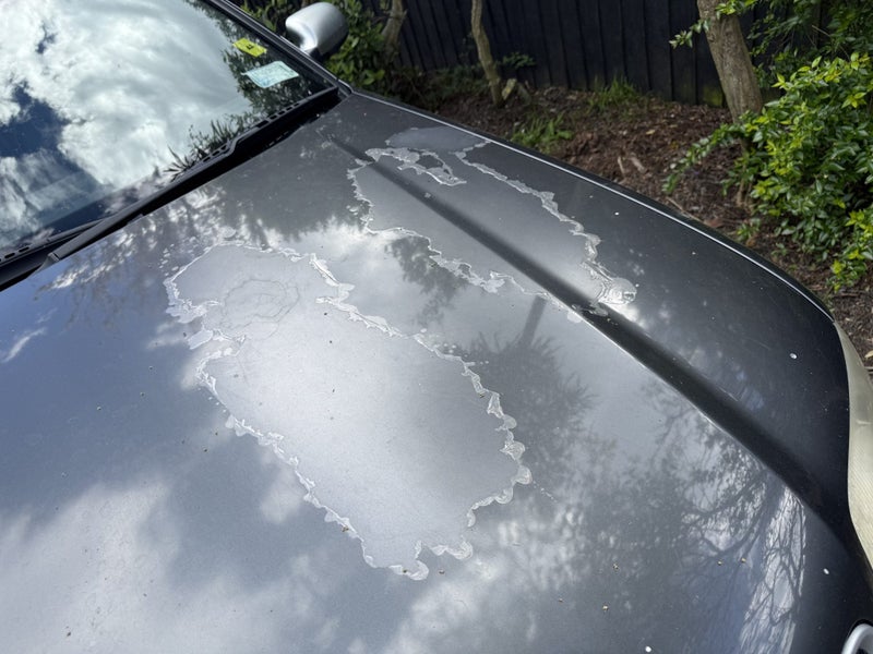 2003 Audi RS6 Avant Quattro Tip63997773524611113