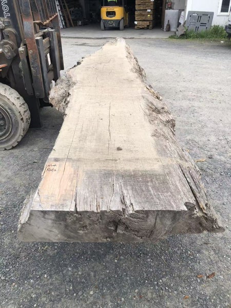 Massive North Rata Slab – 500 × 120/80 × 21 cm (~1000 kg)64442575740803110