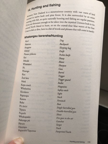 SCOTTY MORRISON - THE RAUPO PHRASEBOOK OF MODERN MAORI 2011 Carousel 2