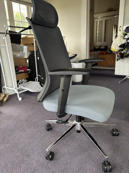 Loctek YZ202 Ergonomic Office Chair With Backrest and seat arm Carousel 2
