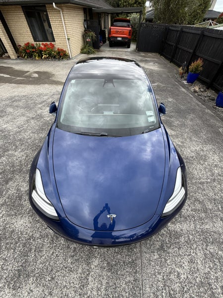 2019 Tesla Model 3 Performance64008035463938113