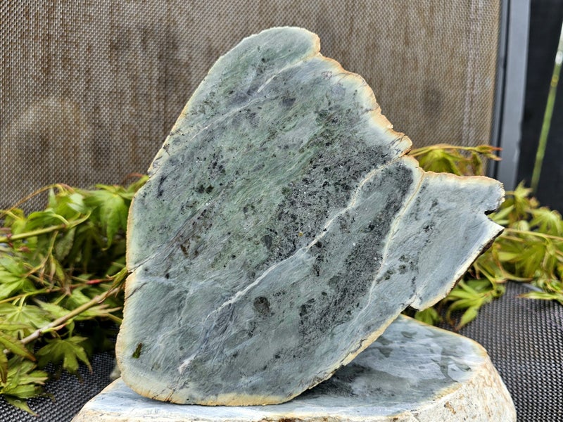 Tasman jade with diopside 3.9lb Carousel 1
