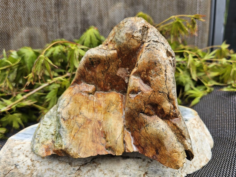 Tasman jade with diopside 3.9lb Carousel 4