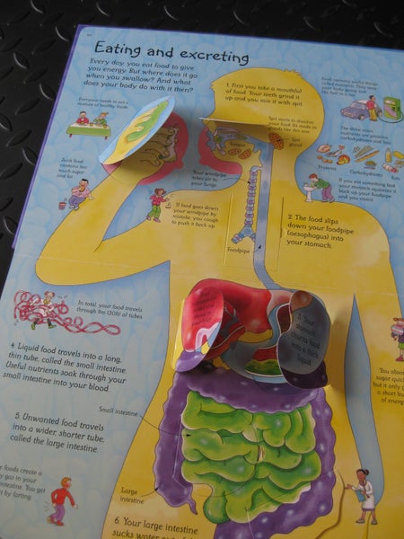 See Inside Your Body with over 50 flaps to lift. An Osbourne Flap Book. Carousel 2