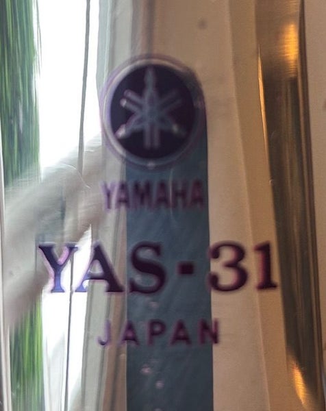 Alto Saxophone with all you need to play and learn64017754595586111