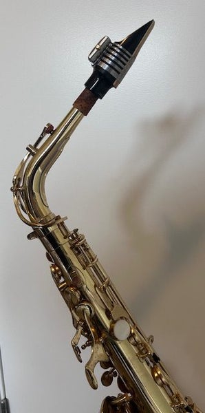Alto Saxophone with all you need to play and learn64017754595586114