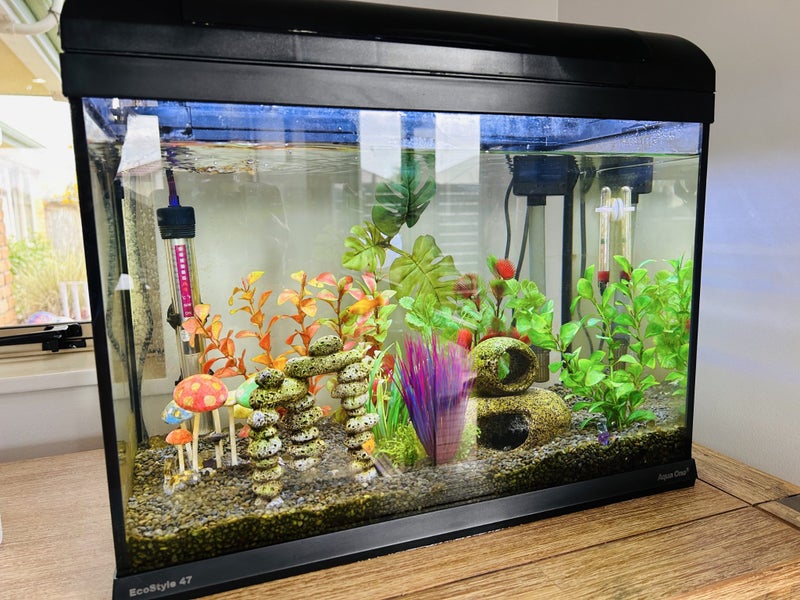 47L Tropical Fish Tank with fish Carousel 1
